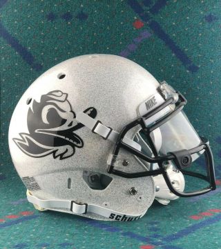 Team Game Issued 2015 Oregon Ducks Glitter Combat Duck Football Helmet Nike 2