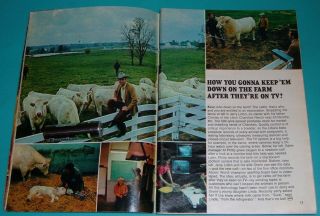 1971 Tv Guide Article Jerry Litton Charolais Ranch Chillicothe,  Missouri 500 Acre