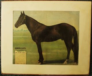 Arion The Harness Horse $125,  000 Stallion International Stock Food Co Minn Ad