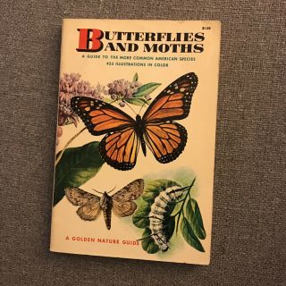 Butterflies And Moths - Vtg Golden Nature Guide - Mitchell - 1964 Illustrated
