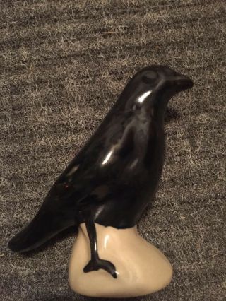 Vintage Black Bird Crow Raven