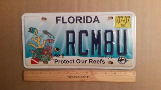 License Plate,  Florida,  Protect Our Reefs,  Rcm 8 U,  Tropical Fish