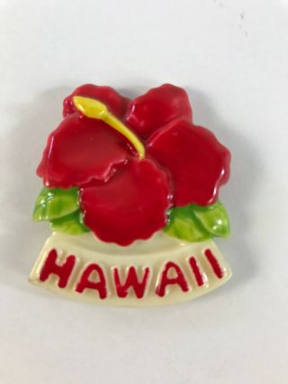 Vintage Hawaii Refrigerator Magnet Souvenir Hibiscus Flower Resin 3d