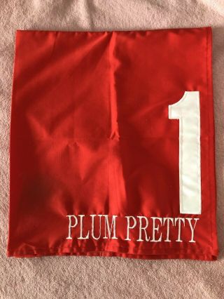 Kentucky Oaks Champ Plum Pretty Grade 1 Las Virgenes Race Worn Saddle Cloth