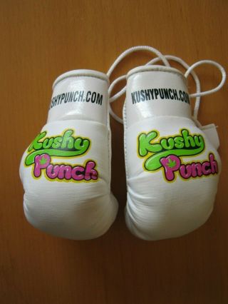 Kushy Punch Mini Boxing Gloves For Rear View Mirror And More