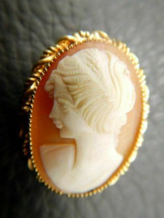 Vintage Brooch Pin Signed Ppc Princess Pride Creations Carved Shell Cameo Gf