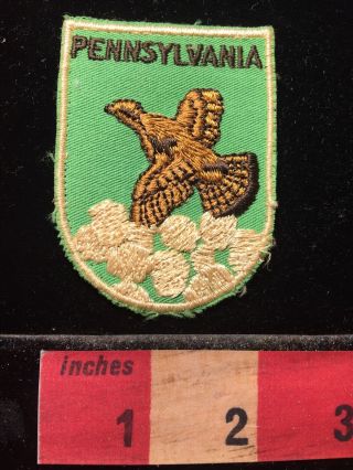 Vtg Pennsylvania Game Bird Patch Souvenir 69we