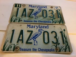 Maryland 2001 Treasure The Chesapeake License Plate 1az 031 Wildlife Specialty