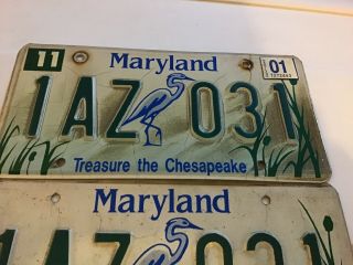 Maryland 2001 TREASURE THE CHESAPEAKE License Plate 1AZ 031 Wildlife Specialty 2
