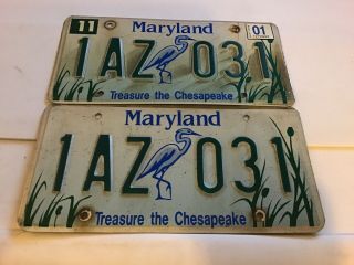 Maryland 2001 TREASURE THE CHESAPEAKE License Plate 1AZ 031 Wildlife Specialty 3