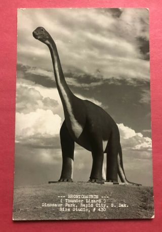 Vintage Rppc - Dinosaur Park - Rapid City,  South Dakota