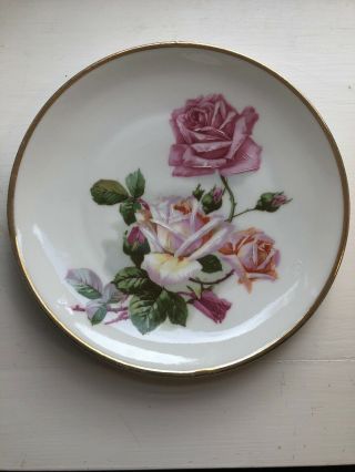 Vintage Ct Altwasser Silesia German Small Rose Design Plate