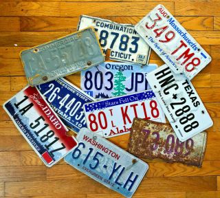 10 Roadkill License Plates For Arts And Crafts