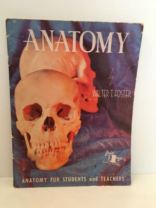 Vintage Anatomy For Students And Teachers By Walter Foster
