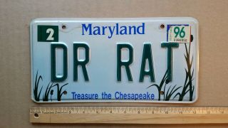 License Plate,  Maryland,  Treasure The Chesapeake,  1996,  Dr Rat