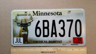License Plate,  Minnesota,  Critical Habitat,  Deer Elk,  6 Ba 370
