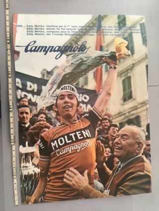 Campagnolo Poster Eddy Merckx 1976.  46.  5 X 36.  5