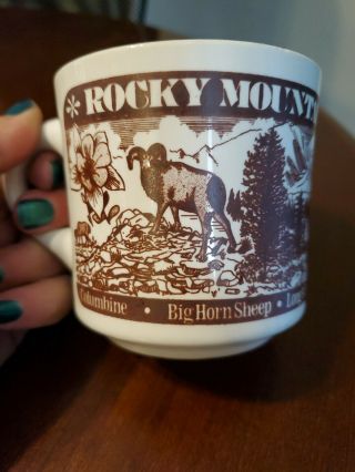 Vintage Rocky Mountain National Park Souvenir Coffee Mug Marked Usa