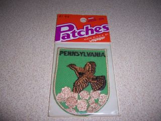 Vtg Pennsylvania Ruffed Grouse State Souvenir Patch