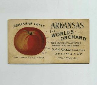Arkansas Apple Orchard Fruit Trade Card Little Rock Deane Land Commissioner W635