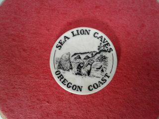 Vintage Sea Lion Cave Oregon Coast Refrigerator Magnet