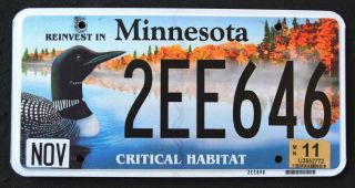 Minnesota " Critical Habitat Wildlife Duck Bird " Mn Specialty License Plate