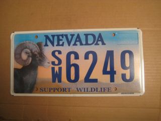 License Plate,  Nevada,  Support Wildlife,  Big - Horned Sheep,  Sw 6249