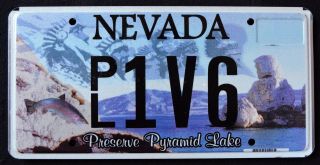 Nevada " Paiute Nation Tribe Pyramid Lake Native Indian Specialty License Plate