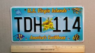 License Plate,  U.  S.  Virgin Islands,  Tropical Fish,  Tdh 114