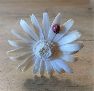 Pretty Edwardian Hat Pin with Large Cream Flower with a Ladybird on a Petal. 3