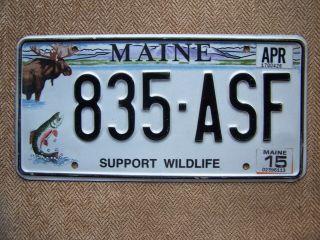 2015 Maine Support Wildlife License Plate.  115 Grams