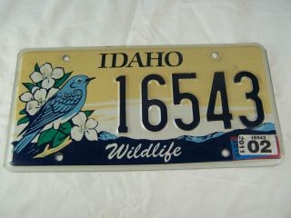 Idaho Wildlife Mountain Bluebird License Plate 2011