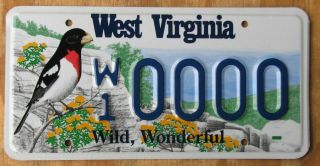 West Virginia Bird Wildlife Sample License Plate 2000s 0000