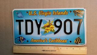 License Plate,  U.  S.  Virgin Islands,  Tropical Fish,  Tdy Flowers 907