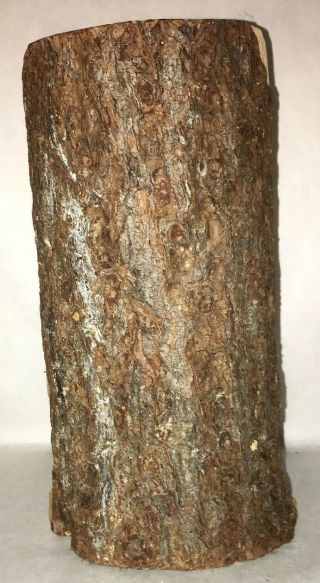 Vintage Hand Carved Wood Tree Trunk Face of Jesus Christ With Bark 3