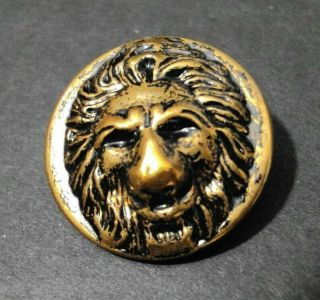 Vintage High Relief Brass Lion Head 5 Brass Lion Buttons 2 Large 3 Cuff Buttons