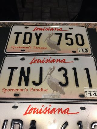 4 Louisiana Pelican License Plates 2