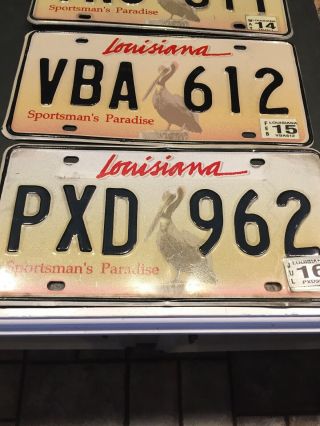 4 Louisiana Pelican License Plates 3