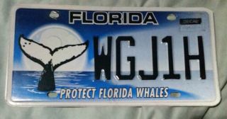 Florida Protect Whales Marine Wildlife Ocean License Plate Auto Tag Fla Fl