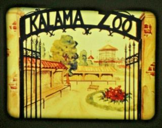 16mm Film - Day At The Zoo,  1939 Cartoon - COLOR 3