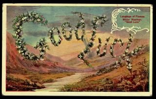 Vintage Floral Postcard Language Of Flowers White Heather " Good Luck " 1909