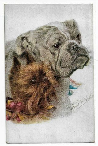Bulldog & Brussels Griffon Dog Vintage C1915 Postcard By Eugenie Valter