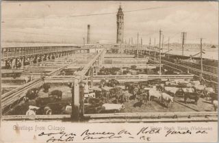 (il25) Vintage Postcard,  Rppc,  Union Stock Yards,  Chicago,  Illinois