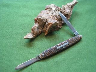 Vtg Schrade Cut Co Walden Ny Jigged Bone Knife Peanut Equal End 1917 - 1946