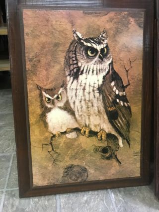 Vintage Richard Screech Vintage Owl Wood Framed Plaque Picture Wall Art