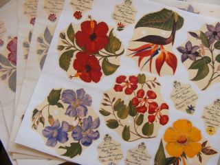 Vintage Floral Water Slide Transfers Sheets Furniture Up - Cycling