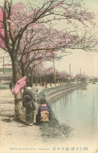 Vintage Postcard Cherry Blossoms Along Canal Yokohama Japan