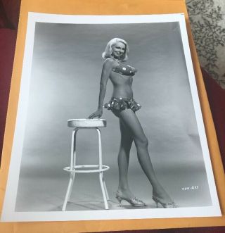 Joi Lansing Actress Vintage 8 X 10 Photograph From Irving Klaws Archives
