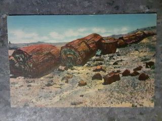 Vintage Postcard Logs Of Stone Petrified Forest Arizona