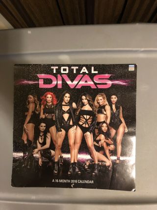 Wwe Wrestling Total Divas 2016 Calendar 16 Months Rare